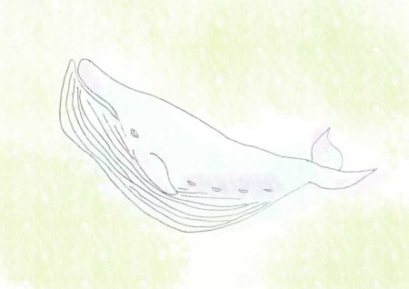 水彩クジラ